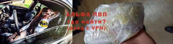 гашик Баксан