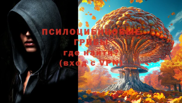 гашик Баксан