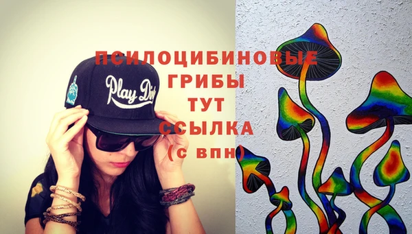 гашик Баксан
