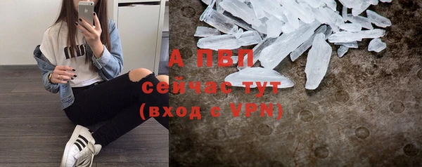 гашик Баксан