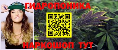 a pvp Кинель