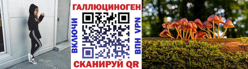 OMG как зайти Коммунар Галлюциногенные грибы ЛСД где можно купить