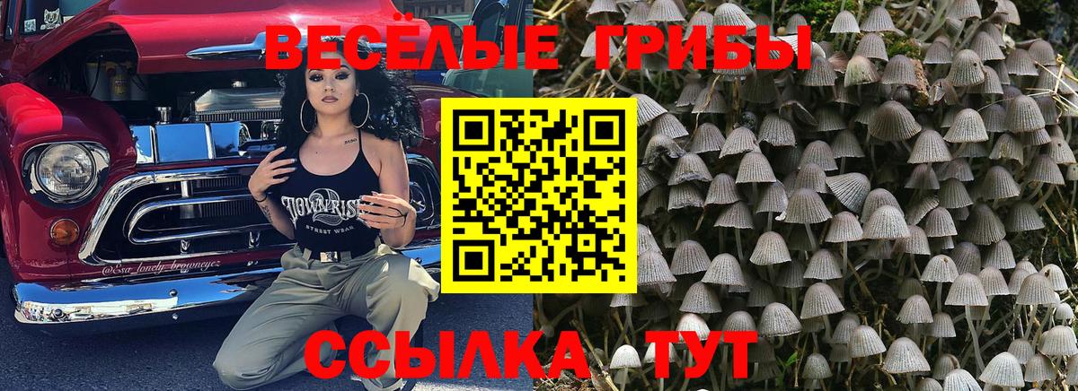 Коммунар  купить наркоту  Вход с VPN  Галлюциногенные грибы MAGIC MUSHROOMS 